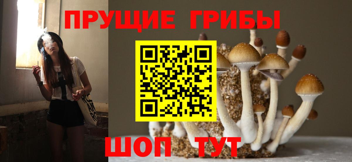 Галлюциногенные грибы ЛСД  Вход с VPN  Псилоцибиновые грибы прущие грибы  купить наркотики цена  Тулун 